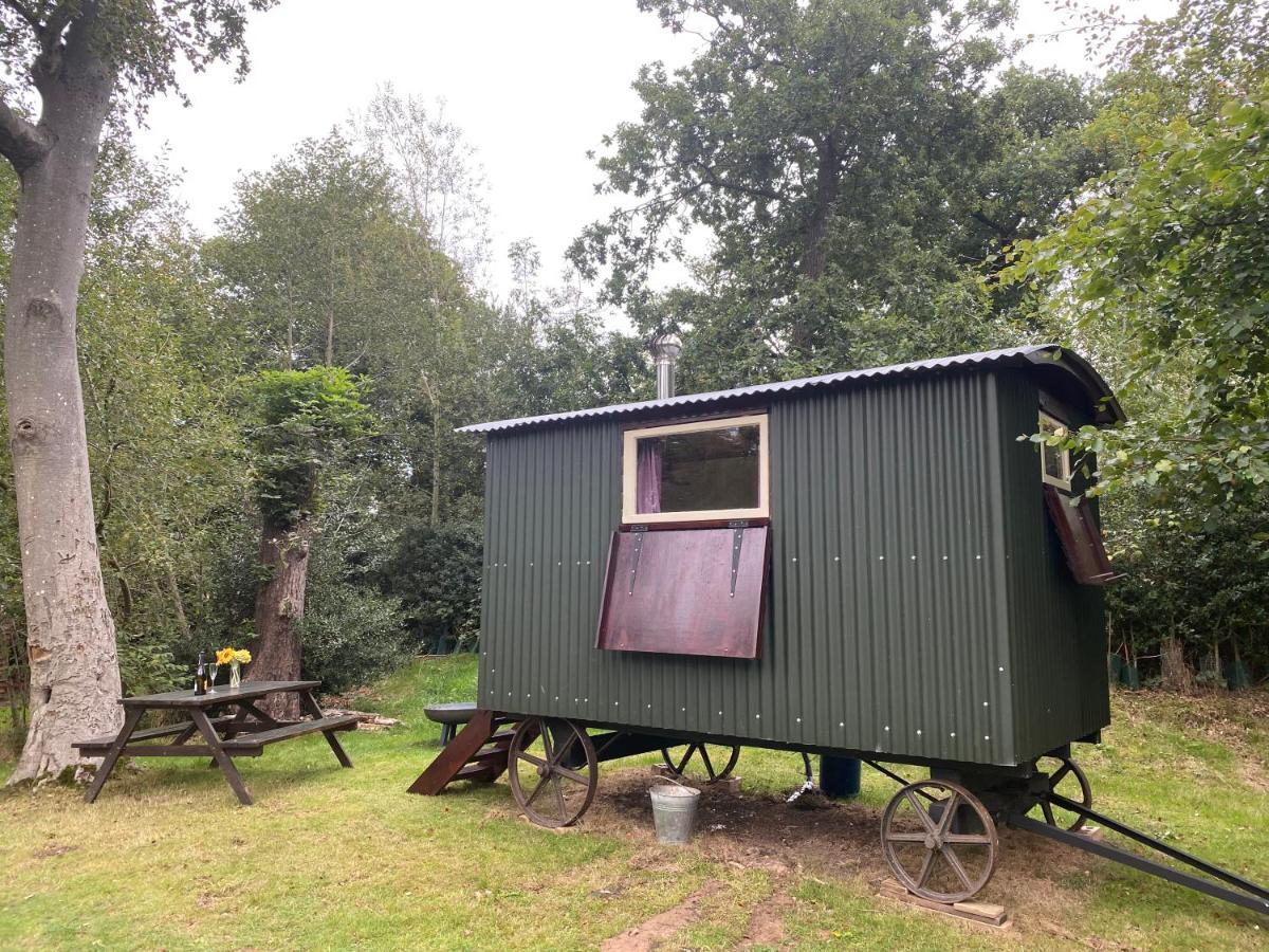 The Shepherd'S Hut - Wild Escapes Wrenbury Off Grid Glamping - Ages 12 And Over Baddiley Buitenkant foto