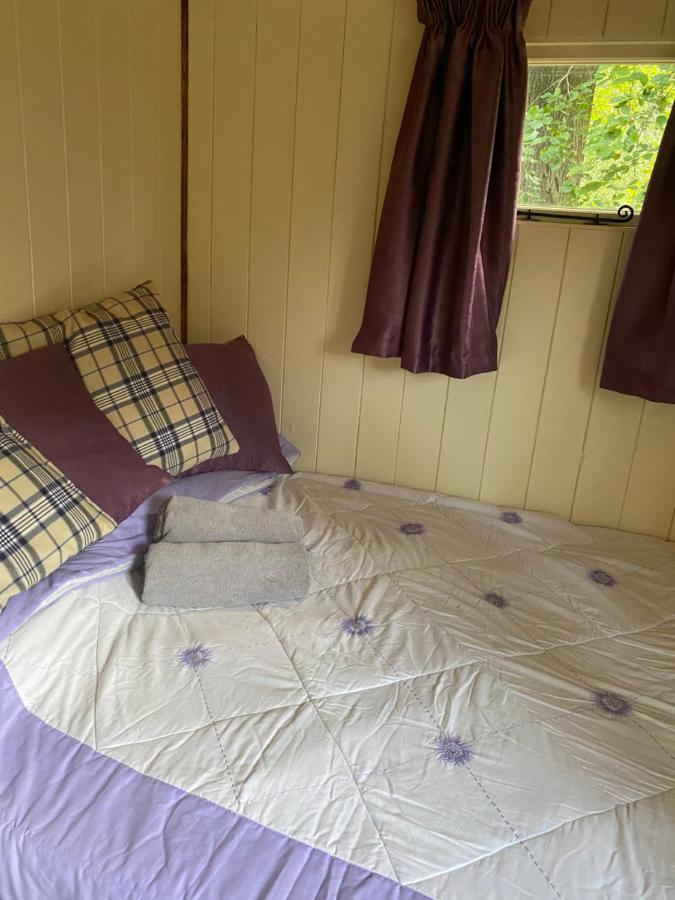 The Shepherd'S Hut - Wild Escapes Wrenbury Off Grid Glamping - Ages 12 And Over Baddiley Buitenkant foto