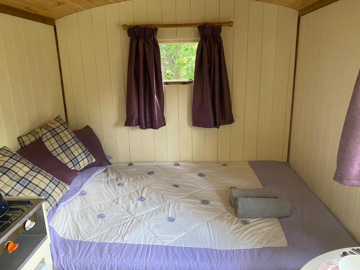 The Shepherd'S Hut - Wild Escapes Wrenbury Off Grid Glamping - Ages 12 And Over Baddiley Buitenkant foto